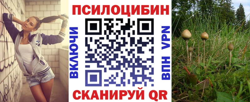 где купить наркотик  Шали  Псилоцибиновые грибы мухоморы 
