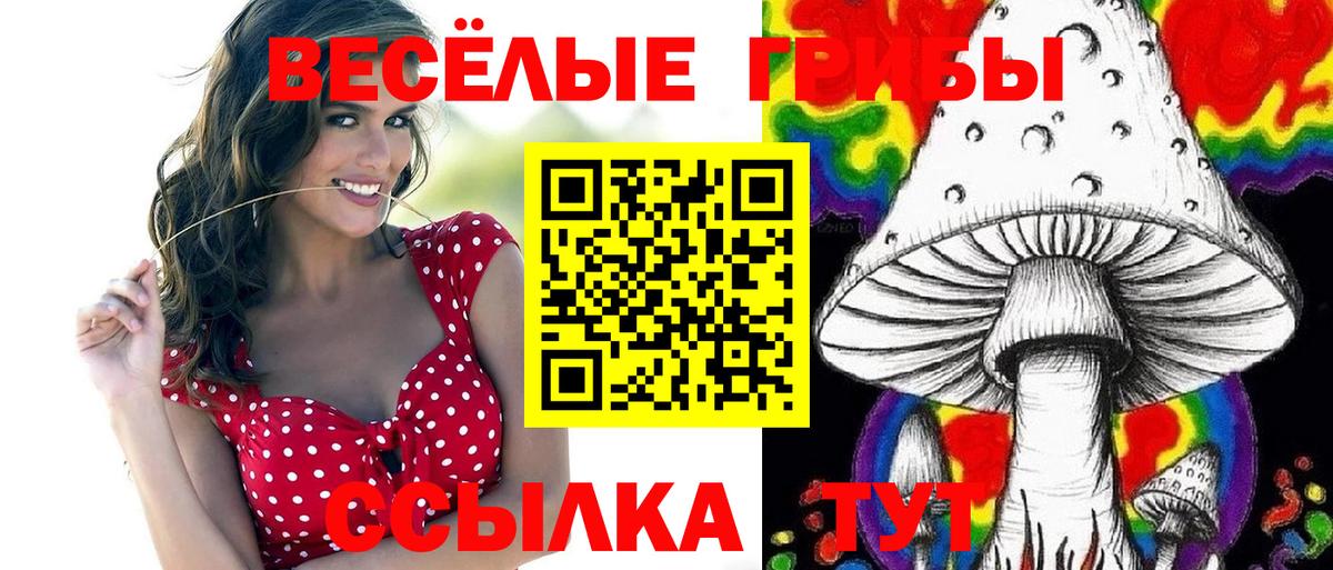 Галлюциногенные грибы Cubensis Шали