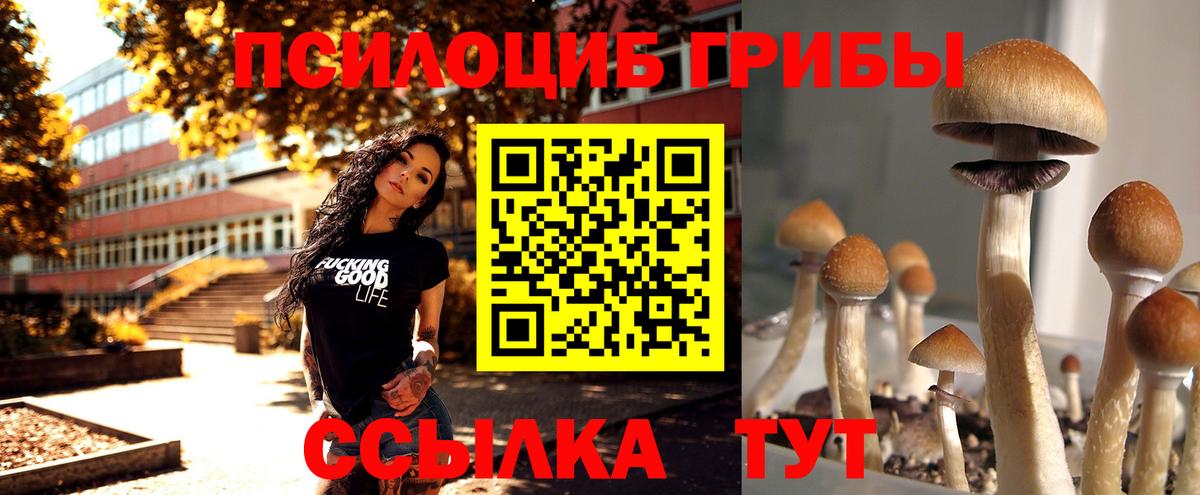 Шали  Галлюциногенные грибы Magic Shrooms  Вход с VPN 